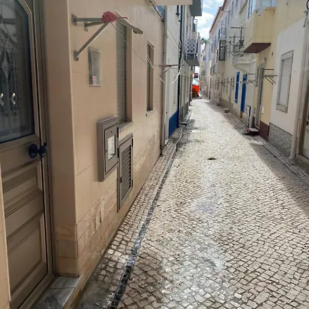 Avo Velha - Faneca * Nazaré